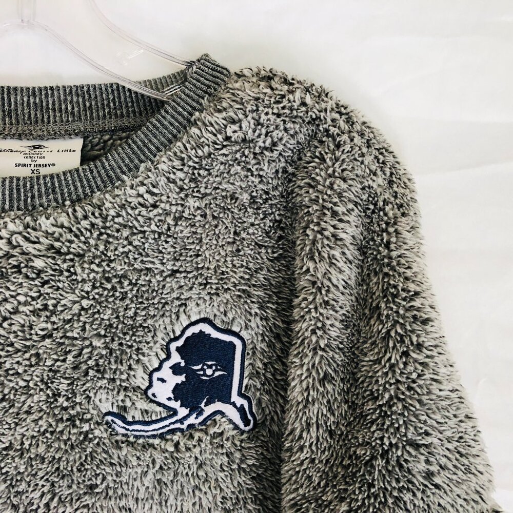 Disney Cruise Line Spirit Jersey Size XS Cozy Sherpa Fleece Pullover Sweatshirt - Picture 3 of 5
